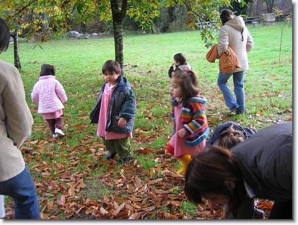 Diapositiva siguiente